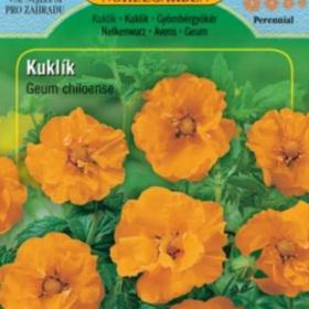 Kuklík čilský, oranžový (semena) www. levna- semena. cz / 18911628