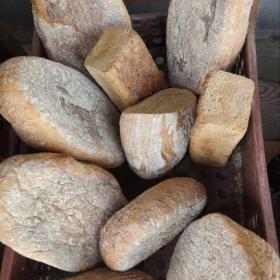 Foto inzerátu Krmné pečivo