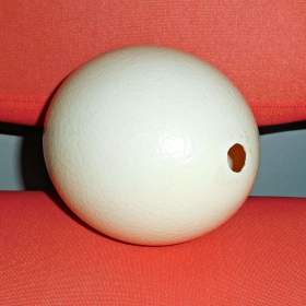 Fotka k inzerátu Skořápku ze pštrosího vejce nabízím na výrobu originální kraslice. / 18942389