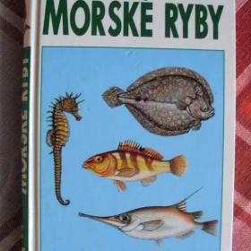 Fritz Terofal Mořské ryby v evropských vodách / 18942658