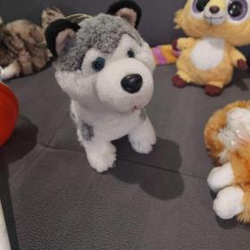 Foto inzerátu Plyšáky