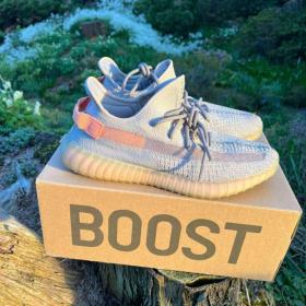 Adidas Yeezy 350 True Form vel. 46 / 18972250