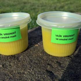 Fotka k inzerátu Vilín Virginský domácí mast / 19345886
