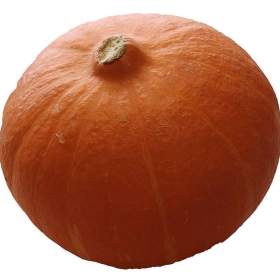 Fotka k inzerátu semena tykev Hokkaido orange / 18996030