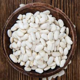 Fotka k inzerátu semena fazol keříčkový Kontra na suchá semena / 19000115
