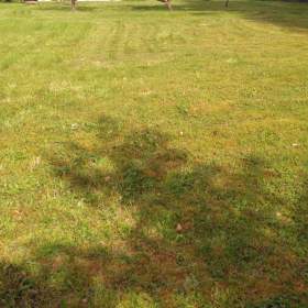 Foto inzerátu Stavební pozemek u lesa