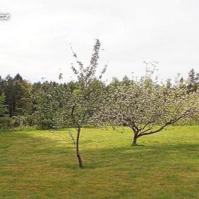 Fotka k inzerátu pěkný pozemek u lesa / 19260976