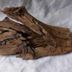 Foto inzerátu Kořen 66 do akvaria/teraria