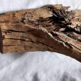 Foto inzerátu Kořen 66 do akvaria/teraria