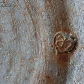 Foto inzerátu Keramická válcová váza.