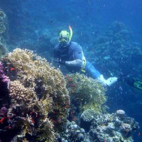 Foto inzerátu Svob., aktivní, bez záv., 59/178, nekuř., norm. post., se smyslem pro humor.