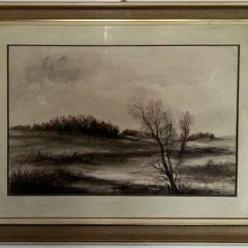 STROM V KRAJINĚ -  SIGNOVÁN / 19129601