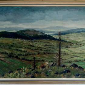 DUKELSKÉ BOJIŠTĚ U BARWINKU -  PICHLÍK VÁCLAV / 19129674
