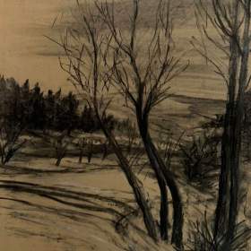 ZIMNÍ KRAJINA -  SIGNOVÁN / 19131550