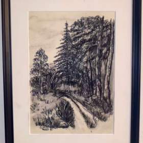 CESTA LESEM -  NEUŽIL / 19131614