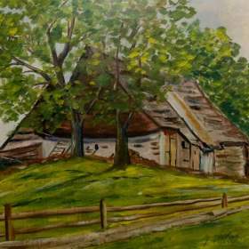 VENKOVSKÁ CHALUPA -  SIGNOVÁN / 19133392