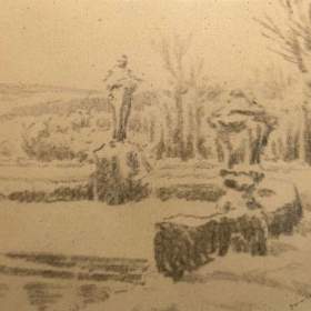 SOCHY V PARKU -  SIGNOVÁN / 19136930