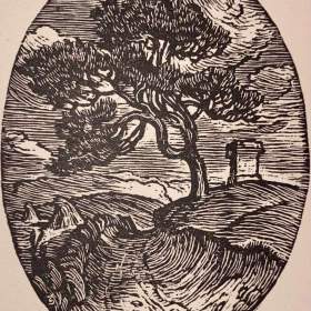 STROM U CESTY -  ŠTIKA KAREL / 19146656