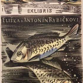 RYBIČKOVI 1 -  PAVEL ŠIMON / 19146749