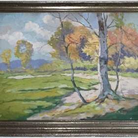 BŘÍZY U CESTY -  HOLEČEK JAROSLAV / 19149155