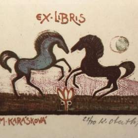  HŘEBCI -  OBERTHOR KAREL / 19153901