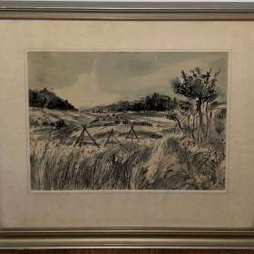 LOUKA -  SLABÝ KAREŠ KAREL / 19157180