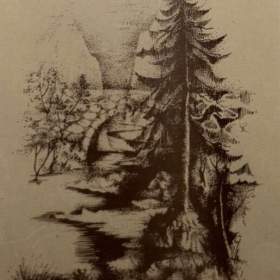 STROM U POTOKA -  NEZNÁMÝ AUTOR / 19162829