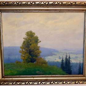 MLŽNÉ RÁNO -  ŠKRABÁNEK FRANTIŠEK / 19169462