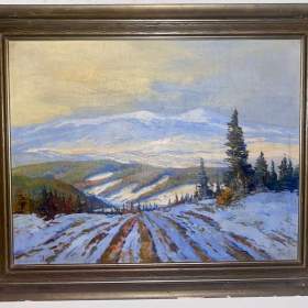 HORSKÝ SRÁZ V TATRÁCH -  SEDLÁŘ STANISLAV / 19176145