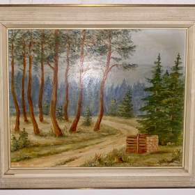 KLÁDY V LESE -  DOLEJŠÍ / 19183093