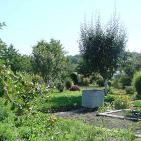 Foto inzerátu Zahradní chatka OV-Výškovice (elektřina, voda, zahrada 327 m2)