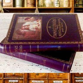 Starožitné lékařské knihy Domácí lékařka, oba dva díly, 1923 / 19198061