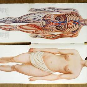 Foto inzerátu Starožitné lékařské knihy Nové domácí léčení z roku 1920, krásný stav