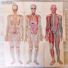 Foto inzerátu Starožitné knihy Přírodní léčba a domácí lékař, léčení z doby před 100 lety