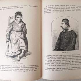 Foto inzerátu Starožitné knihy Přírodní léčba a domácí lékař, léčení z doby před 100 lety