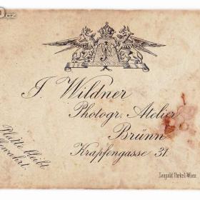 Foto inzerátu Fotoportrét mladé dámy na kartónu, rok cca 1875