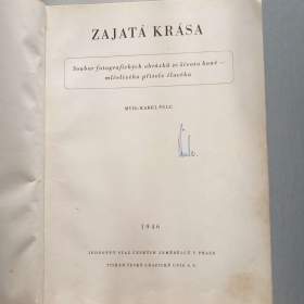 Foto inzerátu Kniha o koních - Zajatá krása