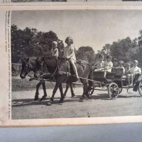 Foto inzerátu Kniha o koních - Zajatá krása