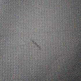 Foto inzerátu Dětské zateplené šusťákové kalhoty Grace.