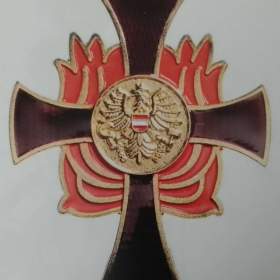 Foto inzerátu Faleristický materiál odkoupím hotově za katalogové ceny 