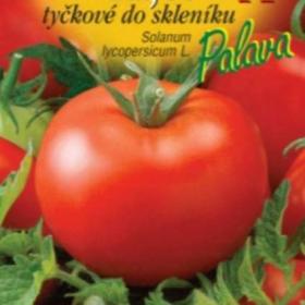 Rajče tyčkové Pálava F1 (semena) / 19260357