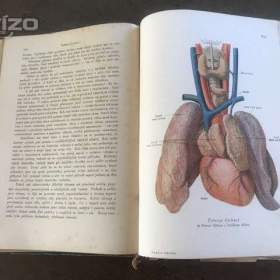 Foto inzerátu Prodám historickou knihu Domácí lékařka