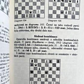 Foto inzerátu Šachy hra královská - Ladislav Alster