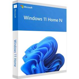 Windows 11 Home N / 19273734