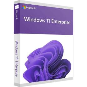 Windows 11 Enterprise / 19273737