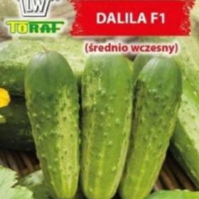 Okurka polní, Dalila F1 (semena) / 19279312