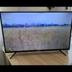 TCL. . TV / 19279317