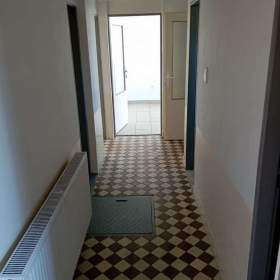 Foto inzerátu Průmyslová hala v Boršicích - ideální pro výrobu, sklad...