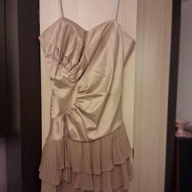 Fotka k inzerátu Společenské šaty / 18056926