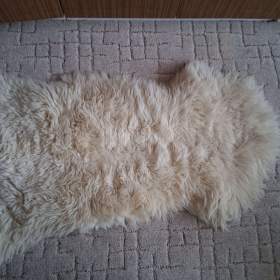 Foto inzerátu Kožešina ovčí